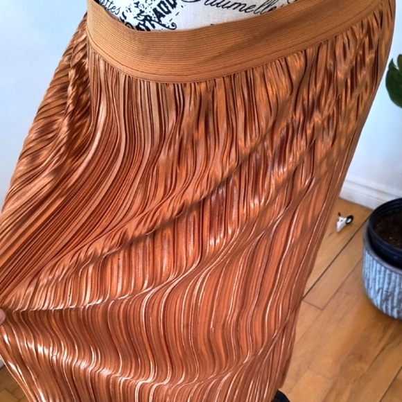 Dex Elegant Gold Pleated Maxi Skirt - Picture 5 of 7